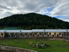 -横道河子东北虎林园