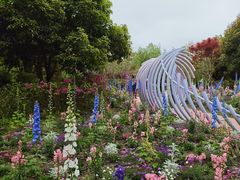 -上海鲜花港