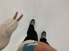 -世界之窗阿尔卑斯冰雪世界