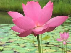 -钱塘花园·宁波菜