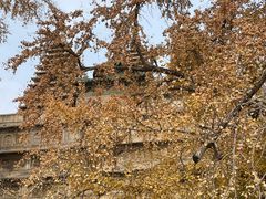 -北京石刻艺术博物馆(五塔寺)