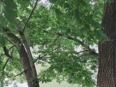 -花锦堂·隐庐
