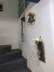 -Doris多里斯半永久纹眉·SMP纹发·发际线
