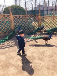 -萌宠亲子动物乐园(槐房万达店)