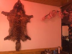 -三道苗苗鱼·美蛙黄辣丁(八里店)