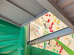 -绿壁虎攀岩基地(Tcar店)