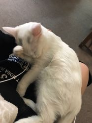 -尚美日式美甲美睫工作室