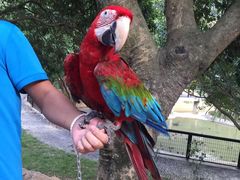 -泉州海丝野生动物世界