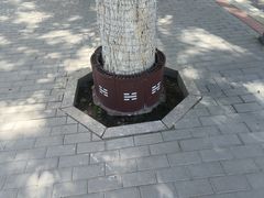 -特克斯八卦城
