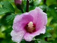 -长辛店二七公园