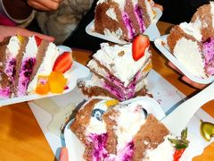 -维尔纳斯·生日蛋糕·动物奶油冰淇淋蛋糕(雨花店)