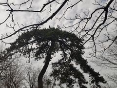 -终南山南五台景区