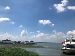 -喜洋洋蟹庄(阳澄湖店)