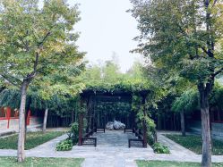 -颐和宾馆宴会厅