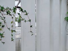 -中山市树木园