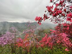 -岳西天峡风景区