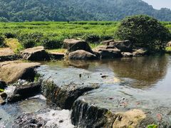 -中国茶叶博物馆(双峰馆区)