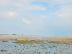 -北海金海湾红树林生态旅游区