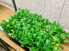 -番食园鲜食火锅(高新店)