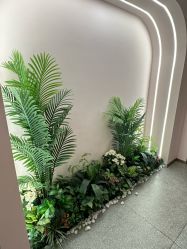 -MUSES专业脱毛日式比基尼サロン连锁