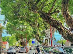 -安德鲁饼店(总店)