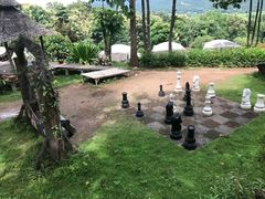 -大树秋千