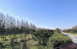 -前小桔亲子创意农场·草莓采摘·露营烧烤