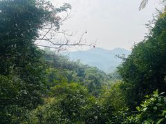 -广州市白云山风景名胜区