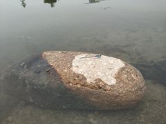 -美兰湖景区