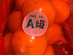 -PAGODA百果园(外贸路店)