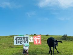 -大姆山草场