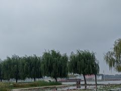 -白洋淀景区