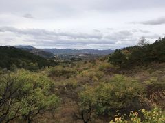 -磬锤峰森林公园