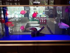 -北京临空智选假日酒店