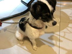 -平行世界·猫咖(首经贸店)