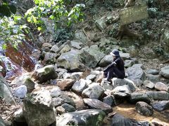 -梧桐山风景名胜区