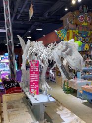 -卡通尼·Safari非洲探索乐园·生日会(金桥国际商业广场店)