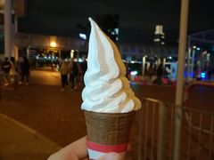 -富豪雪糕车流动点(尖沙咀店)