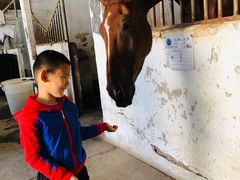 -月河湾马术俱乐部(朝阳店)