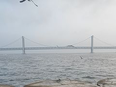 -星海湾跨海大桥
