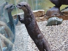 -昆明动物园