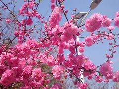 android_upload_pic-灵溪风景区