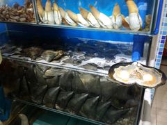 -蚝专家(北滘店)