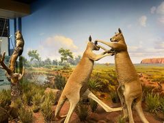 -陕西自然博物馆