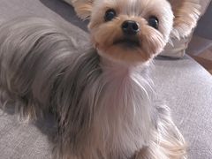 -FAELING PETS美天灵宠物(合生汇店)