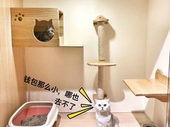 -Double Rui宠物酒店
