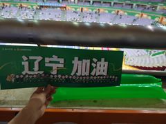 -南京奥林匹克体育中心-体育馆