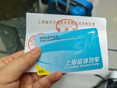 -龙阳路磁悬浮列车总站-停车场