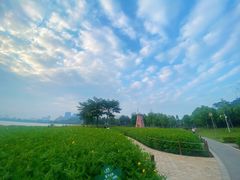 -顺峰山公园