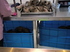 -正宗忘不了老鹅(梅岭店)